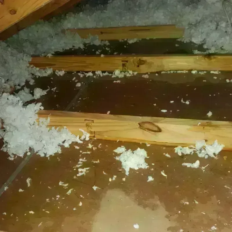 Attic Water Damage in Moses Lake North, WA