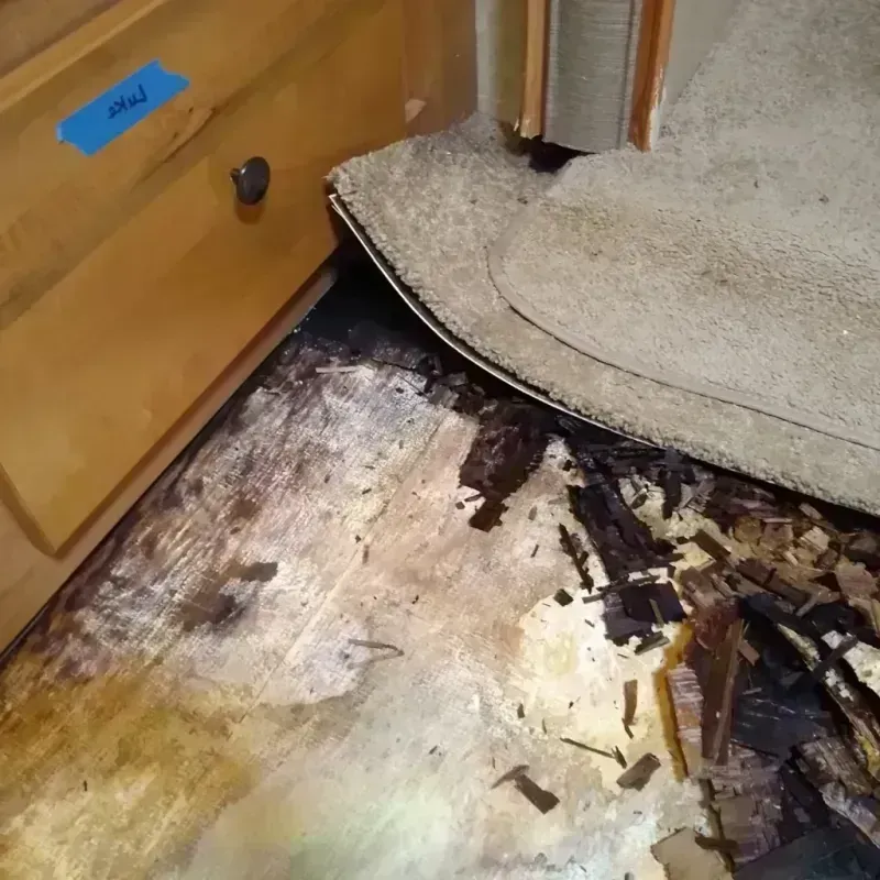 Best Wood Floor Water Damage Service in Moses Lake North, WA